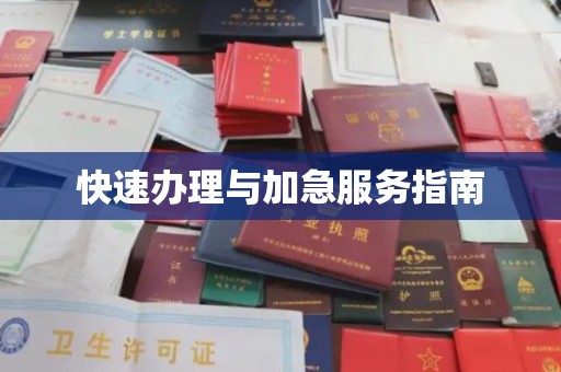 秦州快速办理与加急服务指南