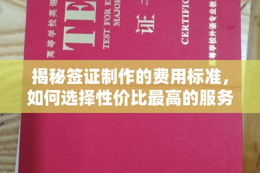 秦州揭秘签证制作的费用标准，如何选择性价比最高的服务？