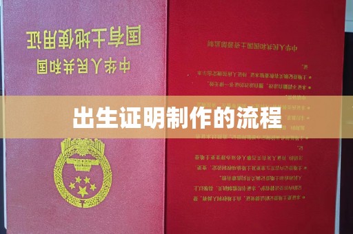 秦州出生证明制作的流程
