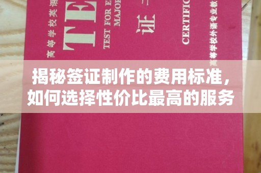 秦州揭秘签证制作的费用标准，如何选择性价比最高的服务？