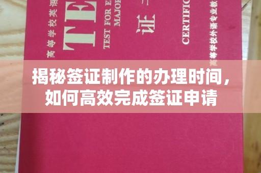 秦州揭秘签证制作的办理时间，如何高效完成签证申请