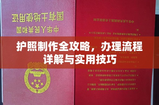 秦州护照制作全攻略，办理流程详解与实用技巧